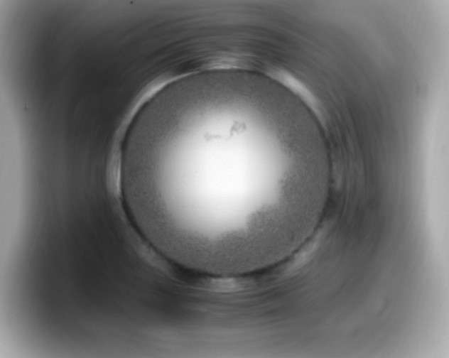 X0000099931227200805231223