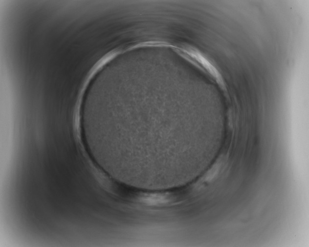 X0000099931229200805231223