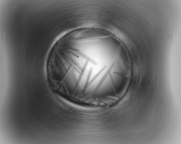 X0000099931230200805231223