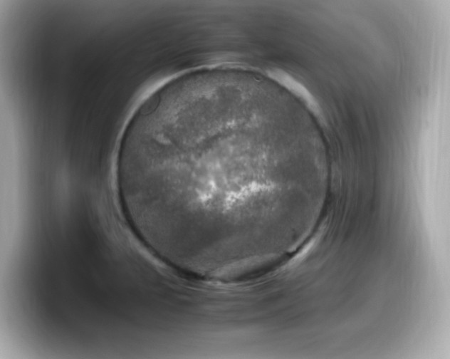 X0000099931231200805231223