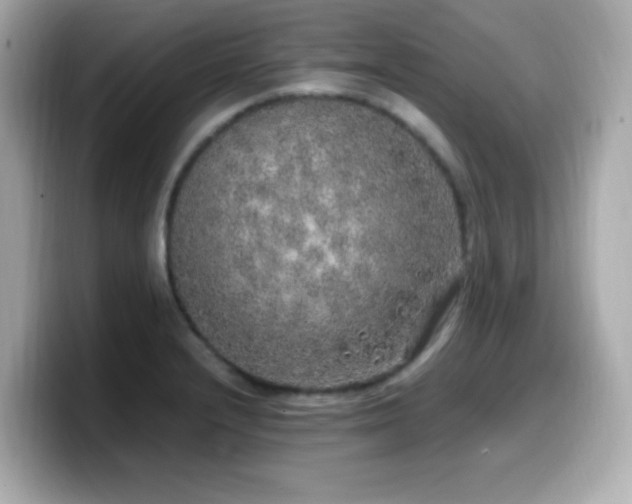 X0000099931232200805231223