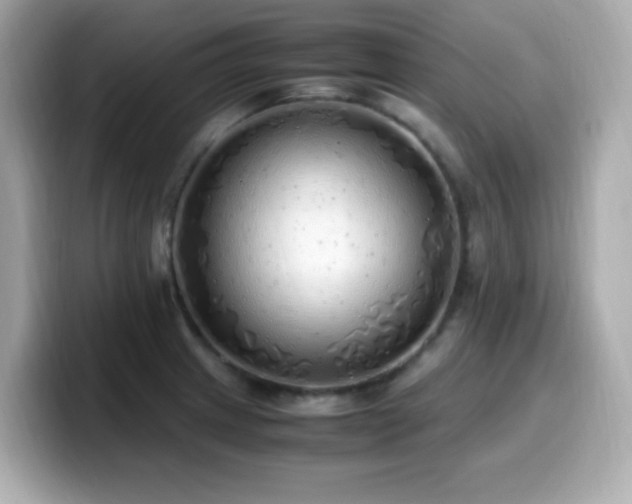 X0000099931233200805231223