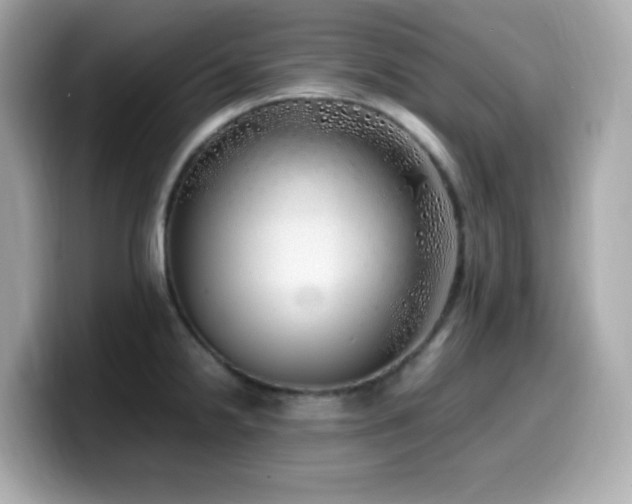 X0000099931238200805231223