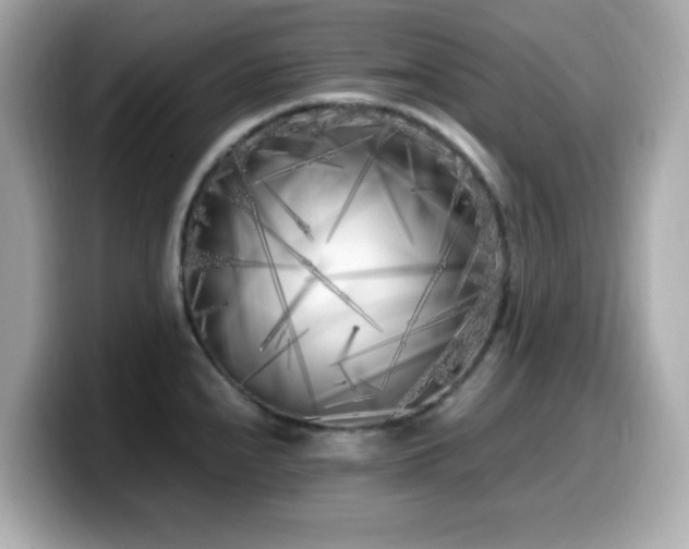X0000099931240200805231223
