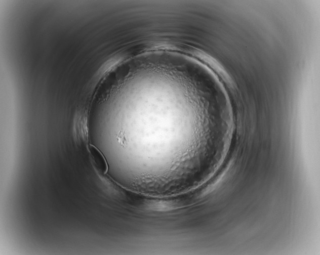 X0000099931241200805231223