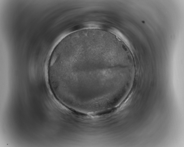 X0000099931243200805231223
