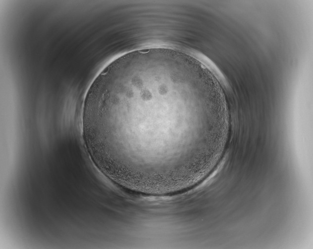X0000099931244200805231223