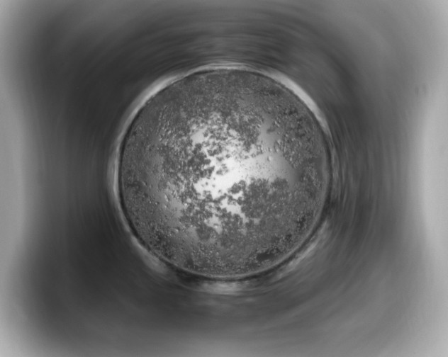 X0000099931245200805231223