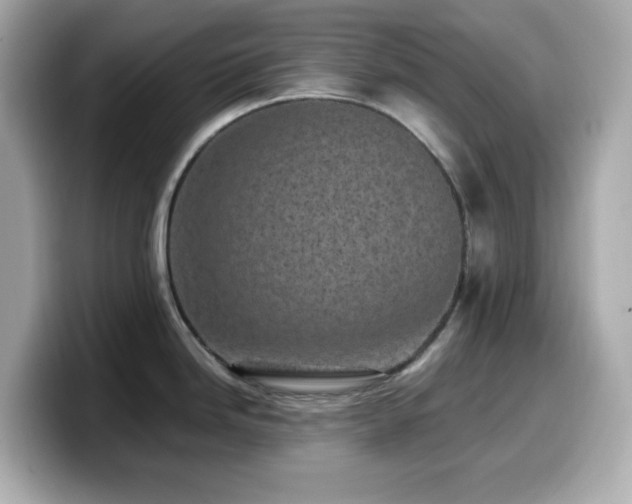 X0000099931246200805231223