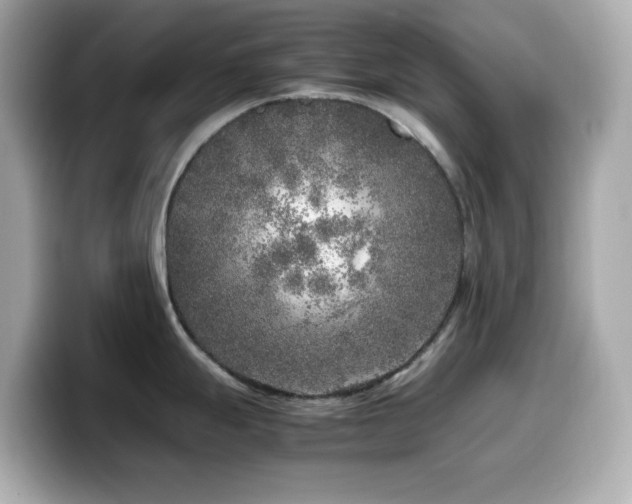 X0000099931247200805231223