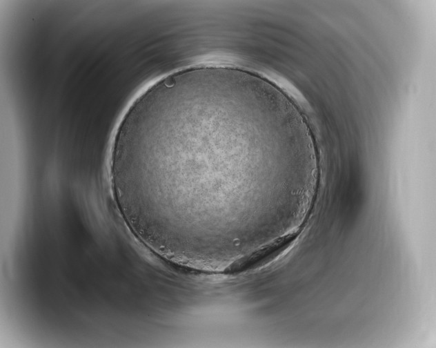 X0000099931248200805231223