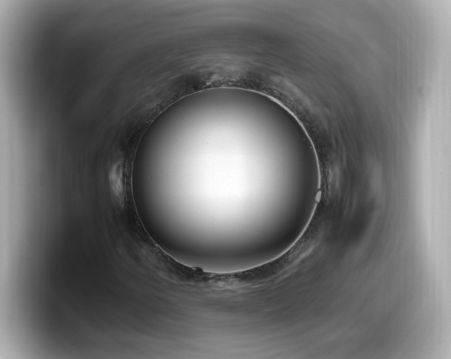 X0000099931250200805231223