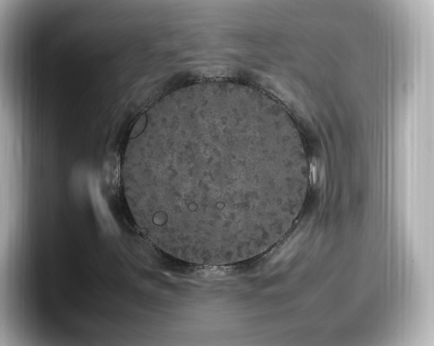 X0000099931251200805231223