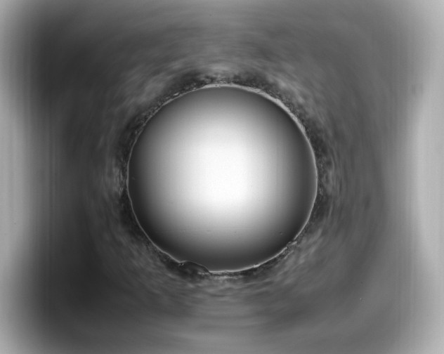 X0000099931253200805231223
