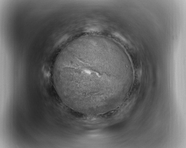 X0000099931254200805231223