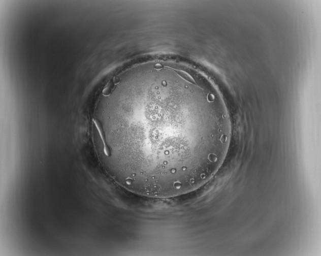 X0000099931255200805231223