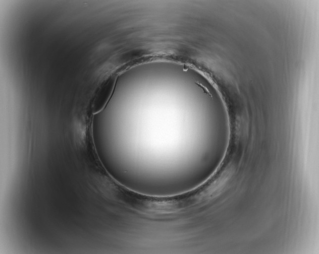X0000099931257200805231223
