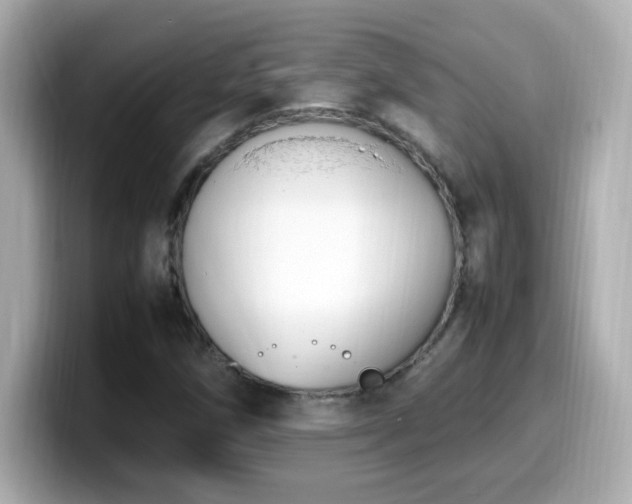 X0000099931258200805231223