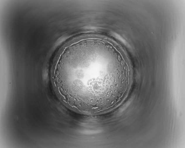 X0000099931259200805231223
