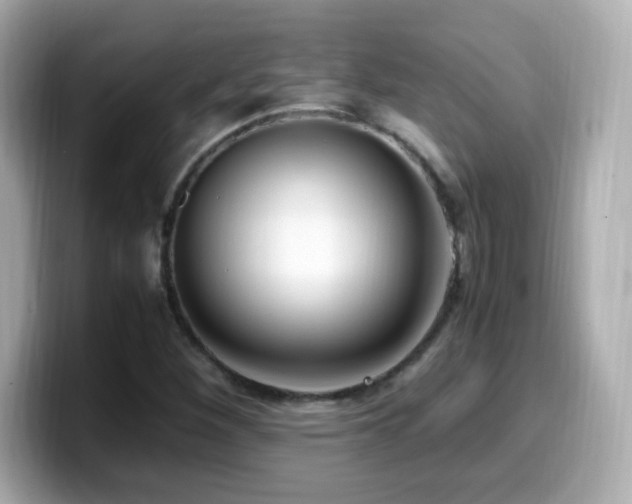 X0000099931260200805231223