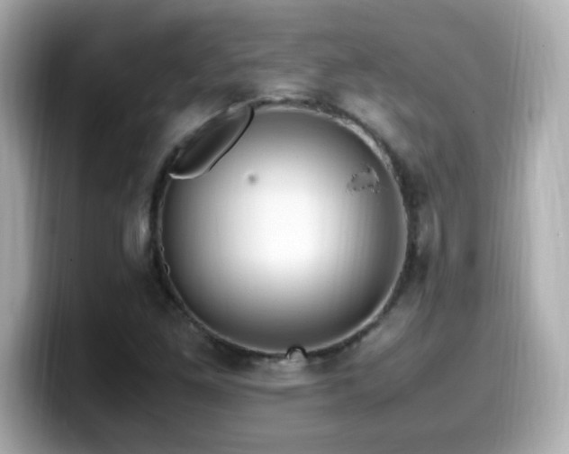 X0000099931261200805231223