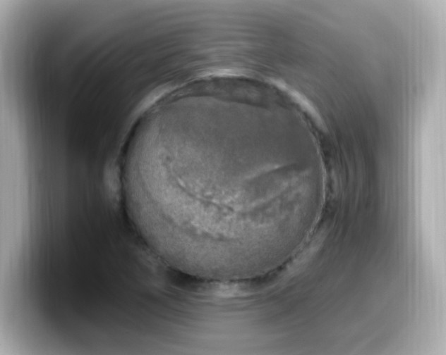 X0000099931266200805231223