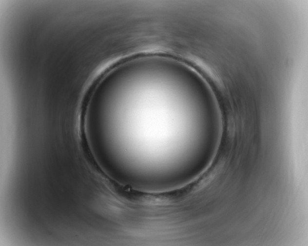 X0000099931270200805231222