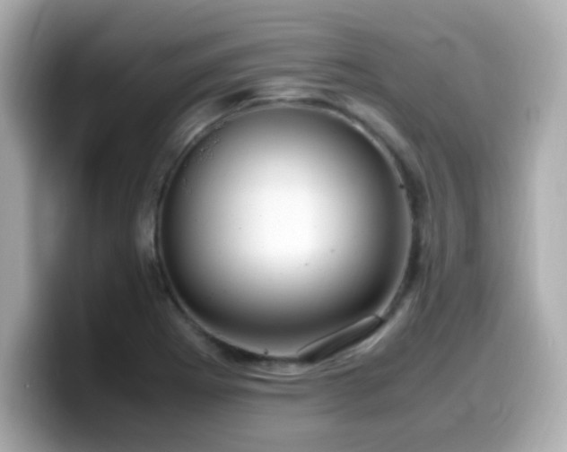 X0000099931273200805231222