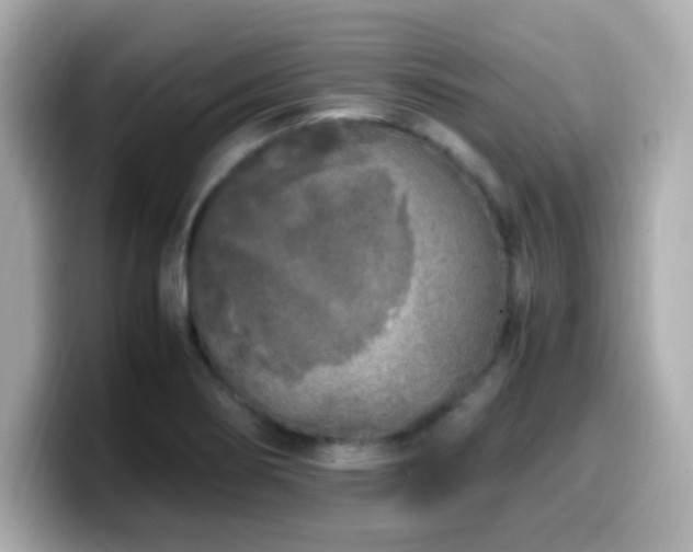 X0000099931274200805231222