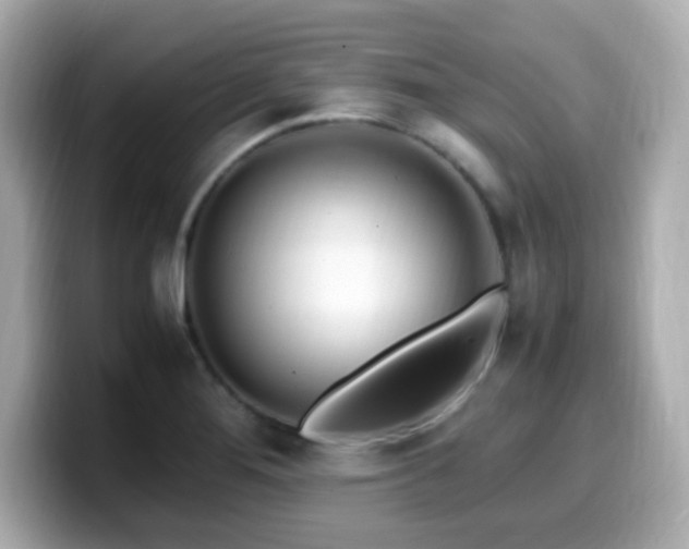 X0000099931276200805231222