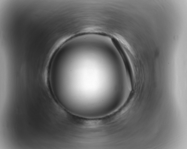 X0000099931277200805231222