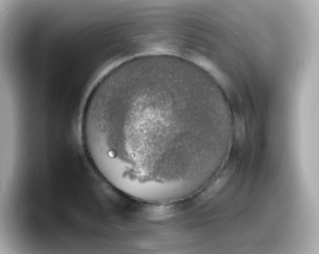 X0000099931278200805231222