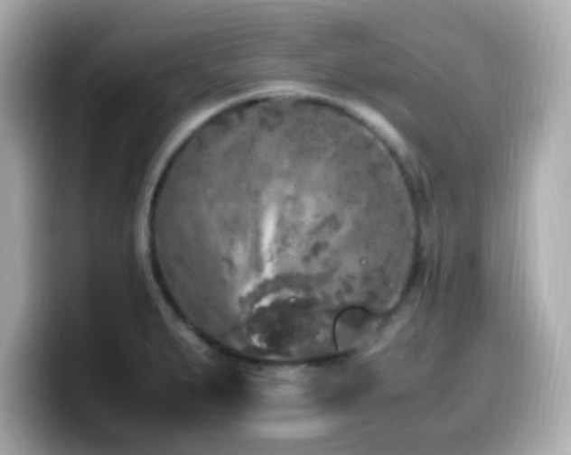 X0000099931279200805231222