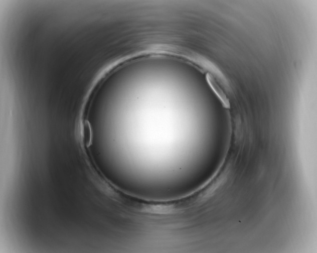 X0000099931280200805231222