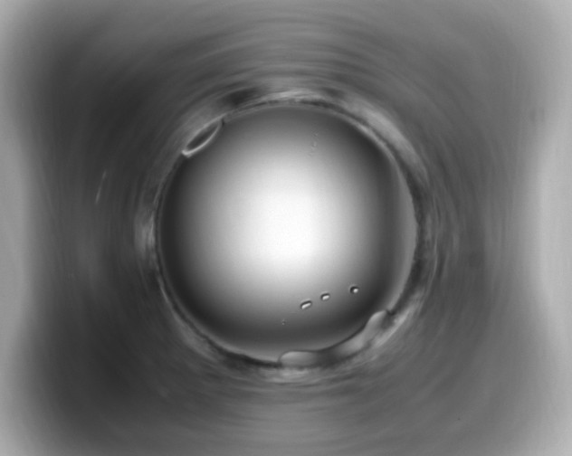 X0000099931281200805231222