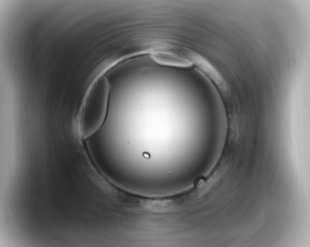 X0000099931284200805231222