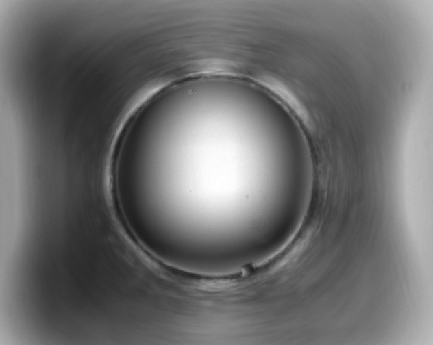 X0000099931285200805231222