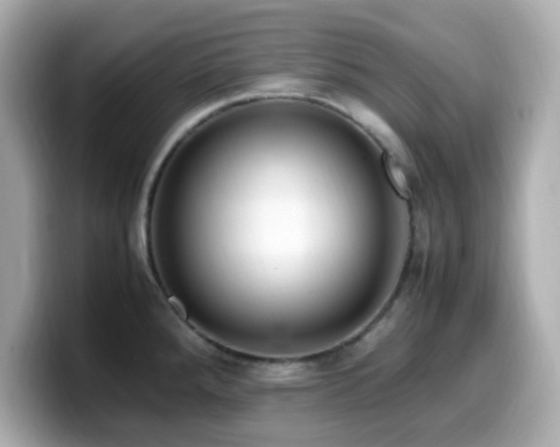 X0000099931288200805231222