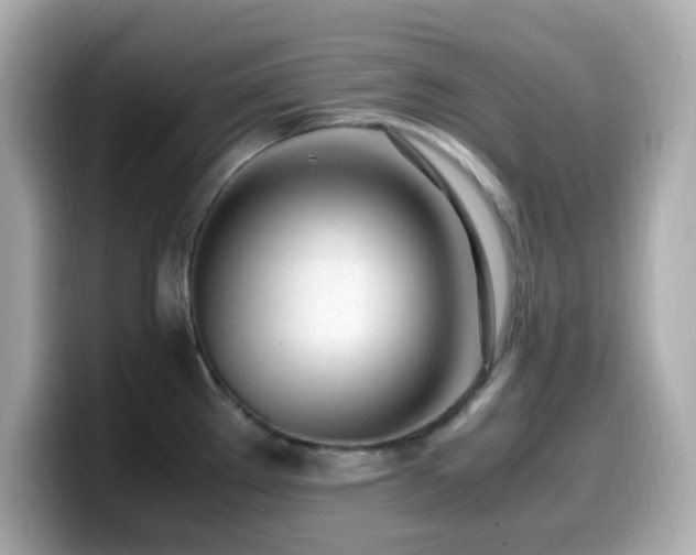 X0000099931289200805231222
