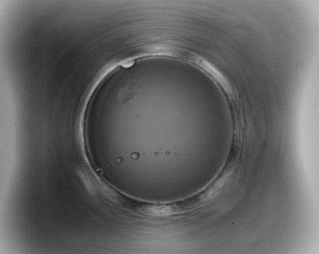 X0000099931291200805231222