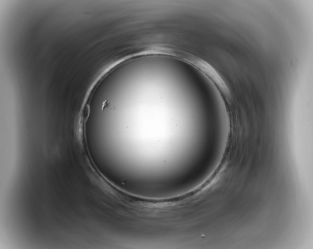 X0000099931292200805231222