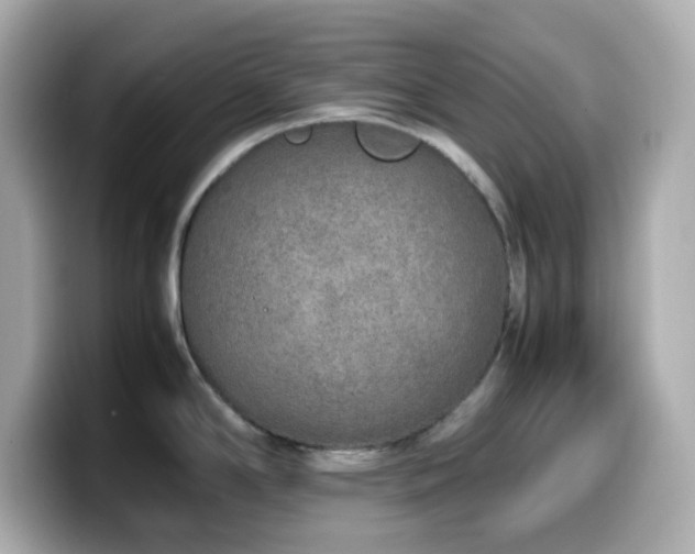 X0000099931294200805231222