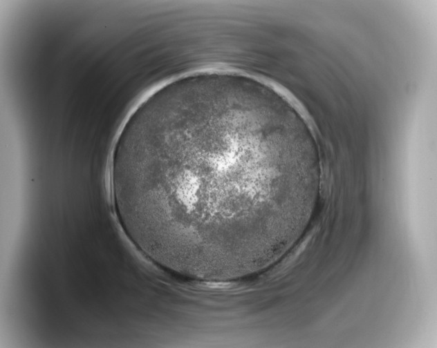 X0000099931295200805231222