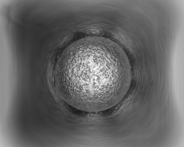 X0000099931297200805231221