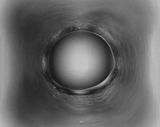 X0000099931298200805231221