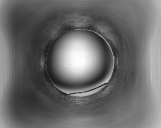 X0000099931300200805231222