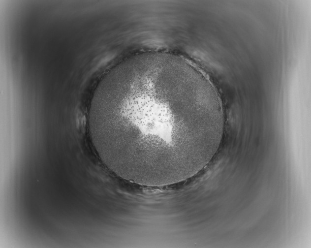 X0000099931302200805231222
