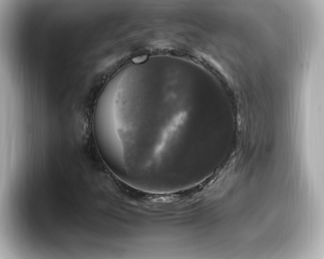 X0000099931303200805231222