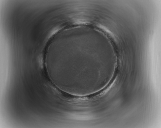 X0000099931306200805231222