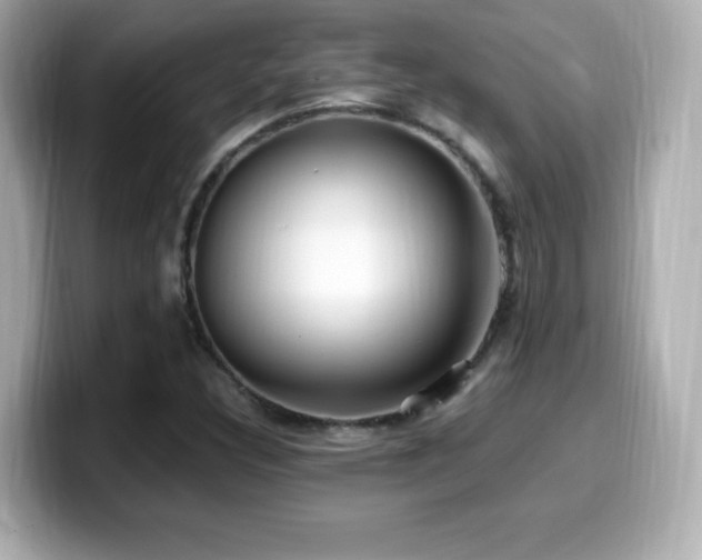 X0000099931308200805231222